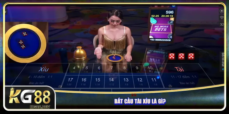 Bắt cầu tài xỉu là gì? Bắt cầu tài xỉu là gì?