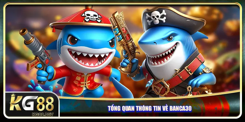 Tổng quan thông tin về Banca30 Tổng quan thông tin về Banca30